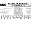 Image 1 : Lot - 950 - BODINES SILVER E501