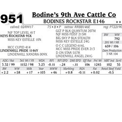 Lot - 951 - BODINES ROCKSTAR E146