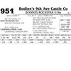 Image 1 : Lot - 951 - BODINES ROCKSTAR E146
