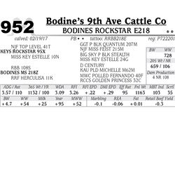 Lot - 952 - BODINES ROCKSTAR E218