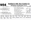 Image 1 : Lot - 954 - BODINES CHURCHILL E127