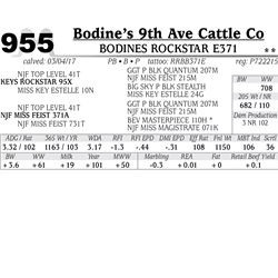 Lot - 955 - BODINES ROCKSTAR E371