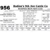 Image 1 : Lot - 956 - BODINES IRON MAN E101