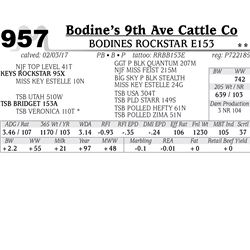 Lot - 957 - BODINES ROCKSTAR E153