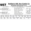 Image 1 : Lot - 957 - BODINES ROCKSTAR E153