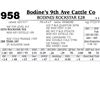 Image 1 : Lot - 958 - BODINES ROCKSTAR E28