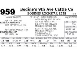 Lot - 959 - BODINES ROCKSTAR E338