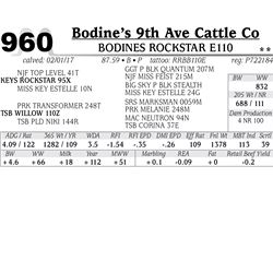 Lot - 960 - BODINES ROCKSTAR E110