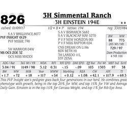 Lot - 826 - 3H EINSTEIN 194E