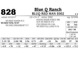 Lot - 828 - BLUQ RED MAN E002