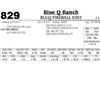 Image 1 : Lot - 829 - BLUQ FIREBALL E003