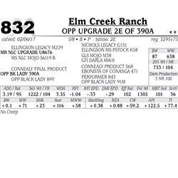 Lot - 832 - OPP UPGRADE 2E OF 390A