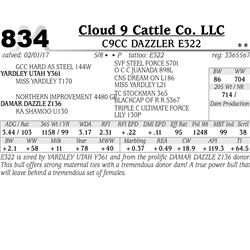 Lot - 834 - C9CC DAZZLER E322