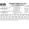 Image 1 : Lot - 835 - C9CC DAZZLER E324