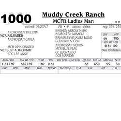Lot - 1000 - MCFR Ladies Man