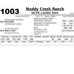 Lot - 1003 - MCFR LADIES MAN