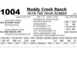 Lot - 1004 - MCFR THE TRAIN ROBBER