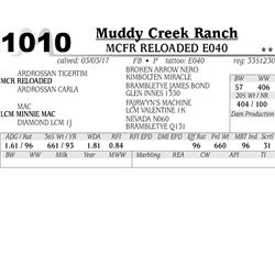 Lot - 1010 - MCFR RELOADED E040