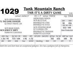 Lot - 1029 - TMR IT’S A DIRTY GAME
