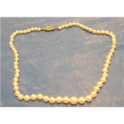 APPROX. 14" NECKLACE