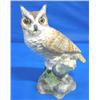 Image 1 : BOEHM PORCELAIN OWL (SIGNED)
