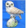 Image 1 : BOEHM PORCELAIN OWL (SIGNED)