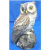 Image 1 : BOEHM PORCELAIN OWL