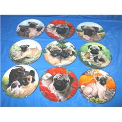 LOT, DANBURY MINT (9) PUG PLATES BY SIMON MEN