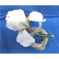 BOEHM "PONTIFF IRIS" PORCELAIN