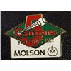 Image 1 : Cannons 5 Years Of Fun Molson Pin