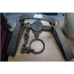 Newhouse #5 Bear Trap in Good Condition