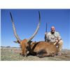 Image 3 : 7 DAY NAMIBIA SAFARI FOR 1 HUNTER AND 1 NON HUNTER