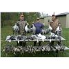 Image 3 : 3 DAY DUCK, GOOSE, & GROUSE COMBO FOR 2 HUNTERS