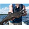 Image 2 : 7 DAY ONTARIO FISHING TRIP FOR UP TO 6