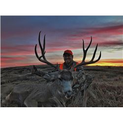 5 DAY MONTANA MULE DEER HUNT