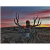 Image 1 : 5 DAY MONTANA MULE DEER HUNT