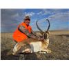 Image 2 : 5 DAY MONTANA MULE DEER HUNT