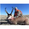 Image 3 : 5 DAY MONTANA MULE DEER HUNT