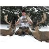 Image 1 : 4 DAY MINNESOTA TROPHY WHITETAIL HUNT FOR 1