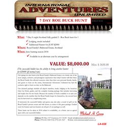 International Adventures