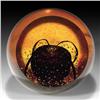Image 1 : 49: Selkirk 2000 Amber Queen Paperweight