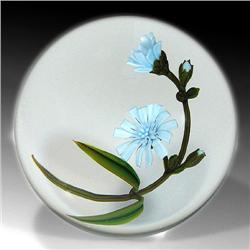 66: Chris Buzzini 1998 Chicory Paperweight