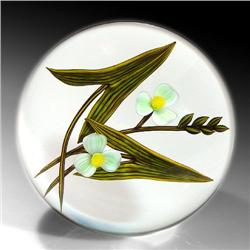 67: Chris Buzzini 1998 Arrowhead Paperweight