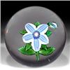 196: Antique Sandwich Weedflower Paperweight