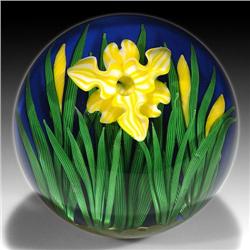 240: Steven Lundberg 1999 Iris Paperweight