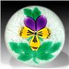 Image 1 : 262: Perthshire 2000 Pansy Paperweight