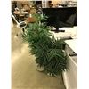 Image 2 : LOT OF 4 DECORATIVE PLANTS