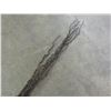 Image 1 : Bundle of dried thick decorative branches/sticks