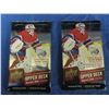Image 1 : 2 Factory Sealed 2015-16 Upper Deck young guns Hockey Cards