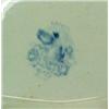 Image 4 : Blue transfer open vegetable and platter, "Or